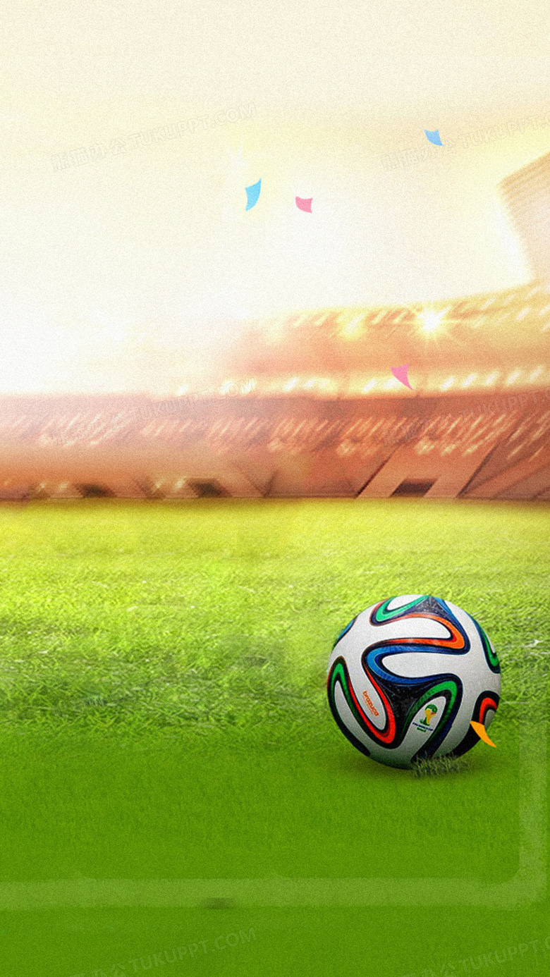 织和安排也 织和安排也