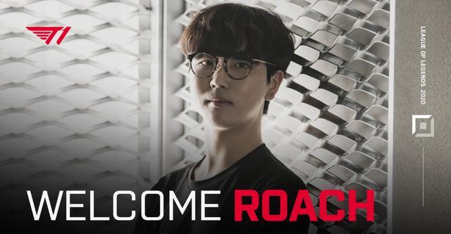 前队长可能 前队长可能